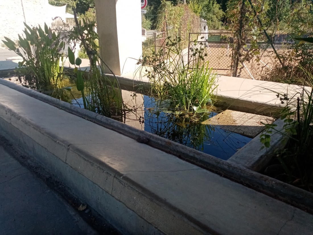 lavoir